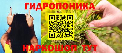стаф Заволжье