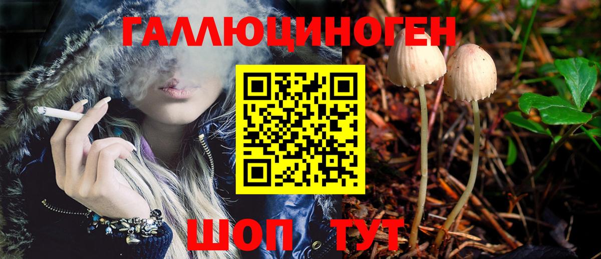 Майский  Галлюциногенные грибы MAGIC MUSHROOMS  Вход с VPN 