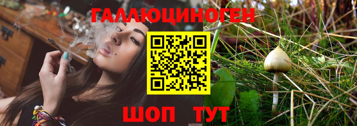 Псилоцибиновые грибы MAGIC MUSHROOMS Майский